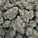 East Van Rockstar *BULK*