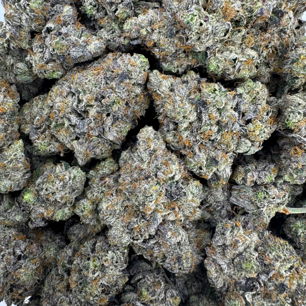 East Van Rockstar *BULK*