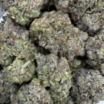 Gas Daddy *BULK*