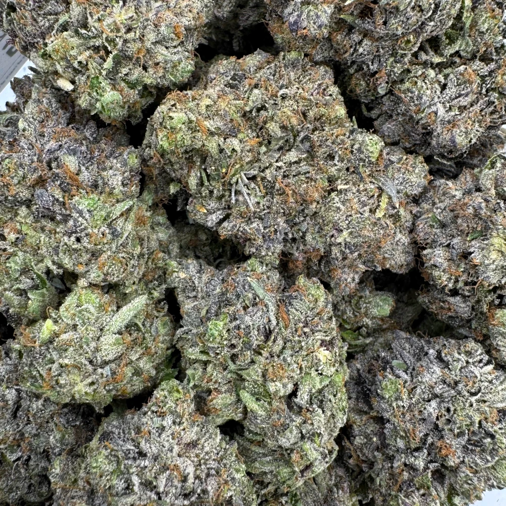 Gas Daddy *BULK*