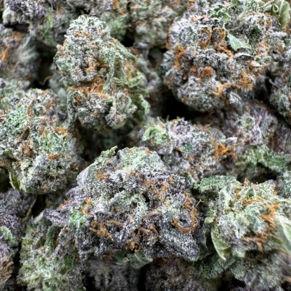 Orange Creamsicle (14 Grams) *FREE GIFT*