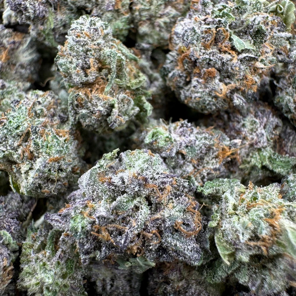 Orange Creamsicle (7 Grams) *FREE GIFT*