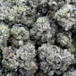 LSO Atomic Pink Popcorn