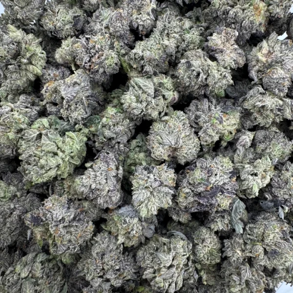 LSO Atomic Pink Popcorn *BULK*