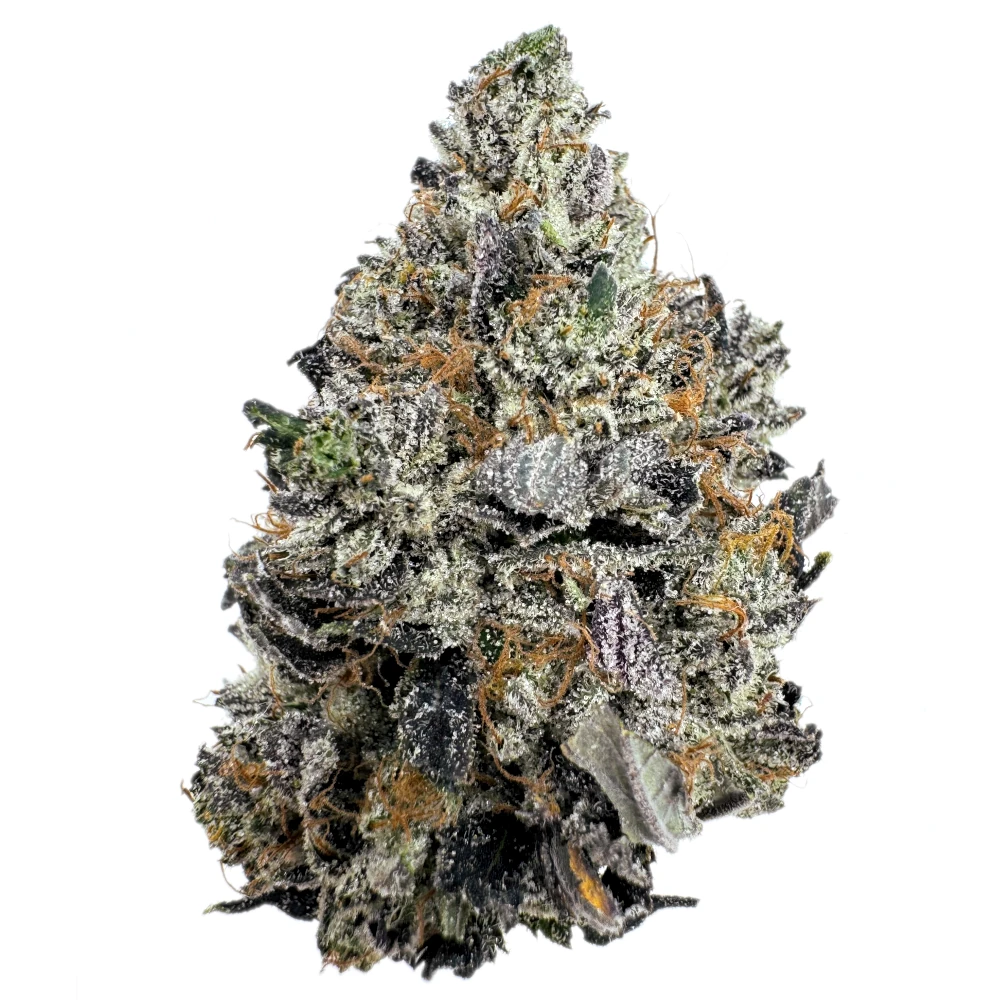 LSO Pink Death Bubba