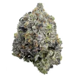 LSO Pink Kush