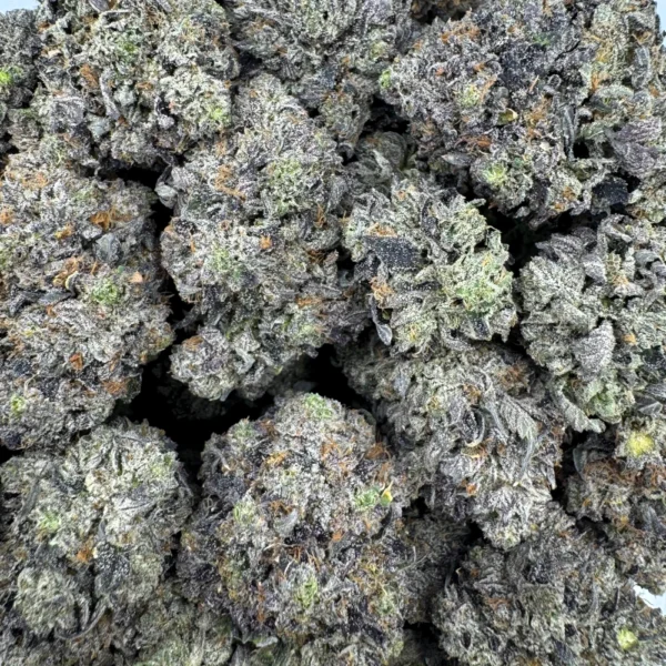 LSO Pink Kush *BULK*