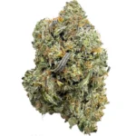 Pink Rockstar (Med/Lrg)