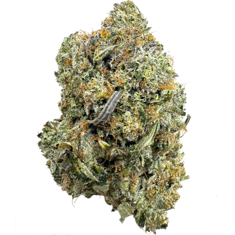 Pink Rockstar (Med/Lrg)