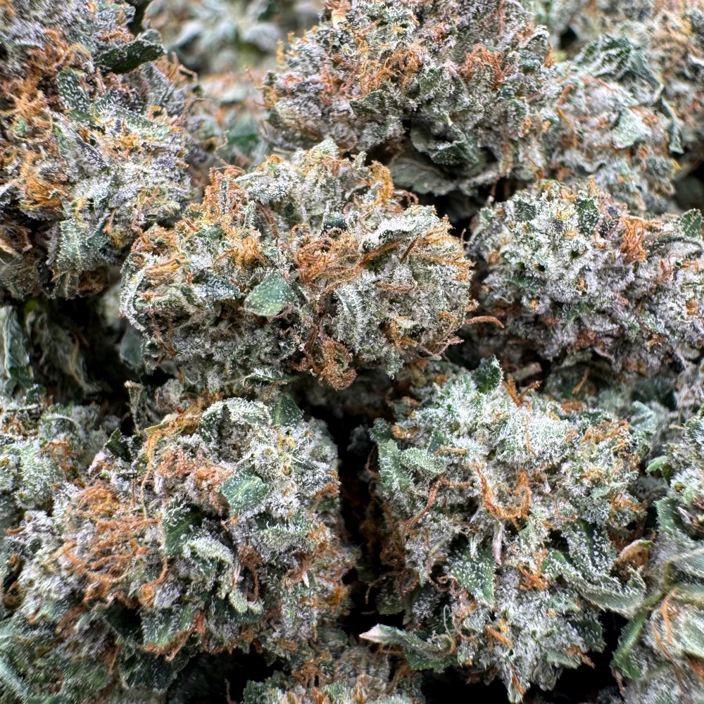 Pink Tuna Popcorn