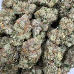 Pre 98 Bubba (Med/Lrg) *BULK*