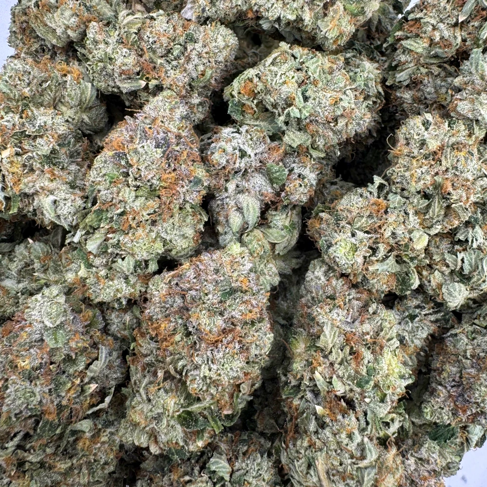 Pre 98 Bubba (Med/Lrg) *BULK*